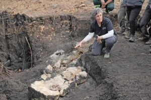 remains-of-victims-of-the-uruguayan-dictatorship-found