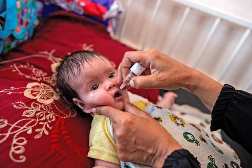 gaza:-children-are-vaccinated-during-the-pauses-between-fighting