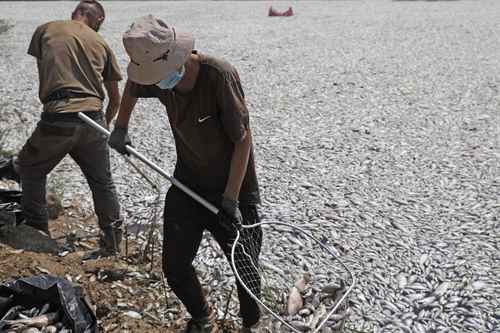 environmental-contingency-in-greece