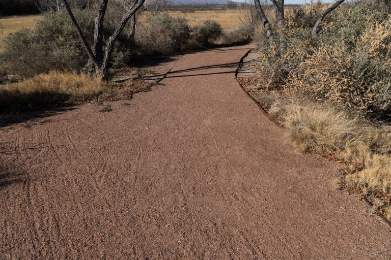 Black-Clad Attacker Haunts Albuquerque’s Bosque Trails, Investigators Probe Possible Serial Assaults