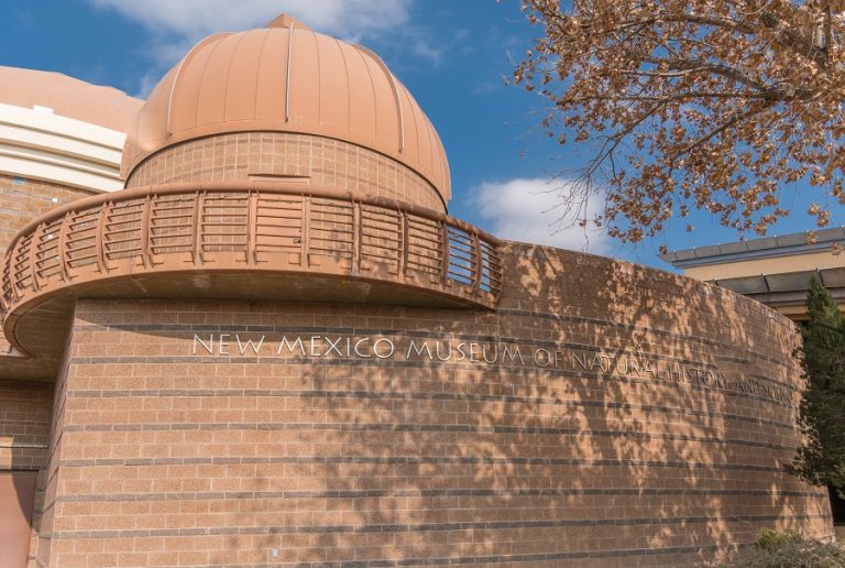 Step Back Inside the Museum of Natural History & Science When it Reopens on April 4 After the $3.7M Makeover