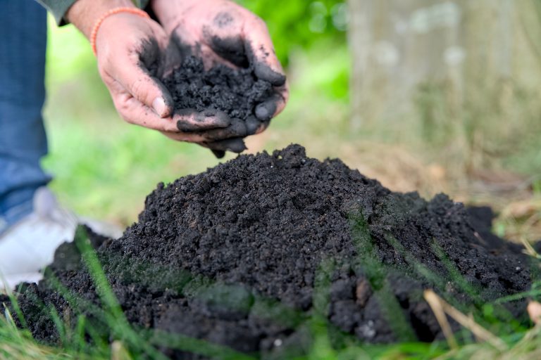Interested in Biochar and Soil Health? This May Workshop Offers Hands-On Training 