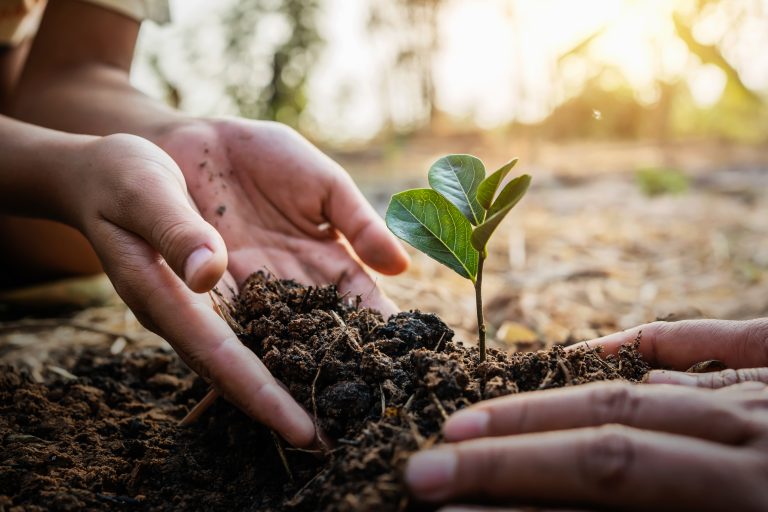 UNM Launches Exciting Earth Month Activities