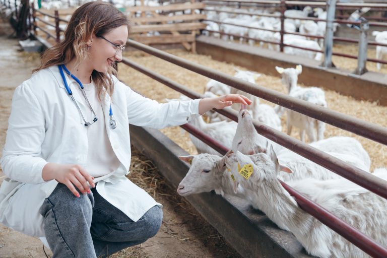 To Serve Underserved Areas: State Grants Student Loan Relief to Eight Rural Veterinarians