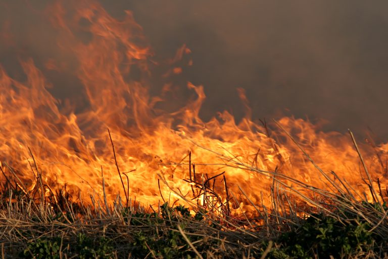 Fire Danger Returns on New Mexico Starting Wednesday