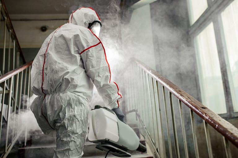 Health Officials Calm Fears After Cruise Ship Hantavirus Outbreak