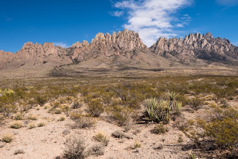 Trump Administration Scraps ‘Public Lands Rule,’ Opening Millions of Acres to New Drilling and Mining