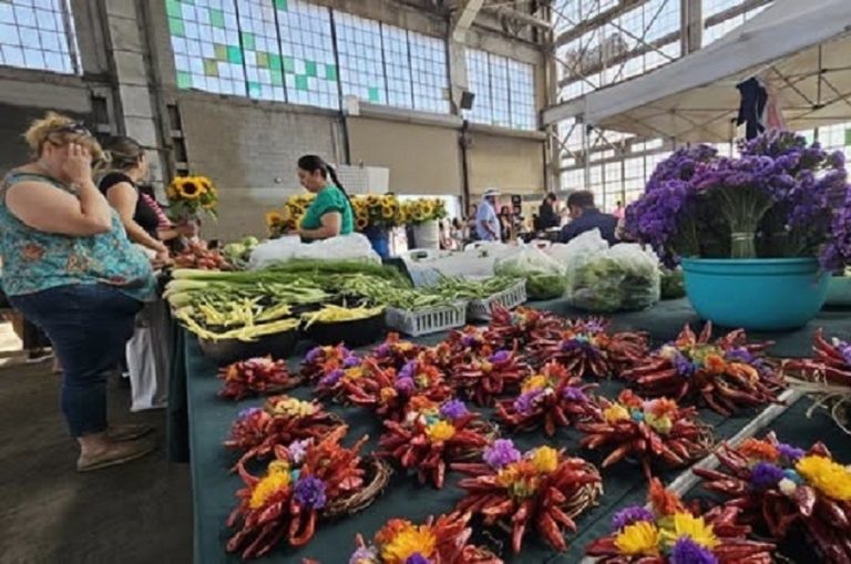 Gas, Drought, and Survival: Albuquerque Farmers Brace for a Tough Season at the Rail Yards Market