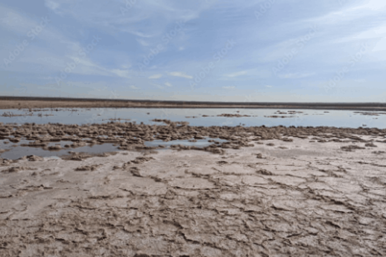 Thirsty Deserts, Salty Solution — New Mexico Launches $13M Mapping, Testing, and Treating Brackish Water Contracts