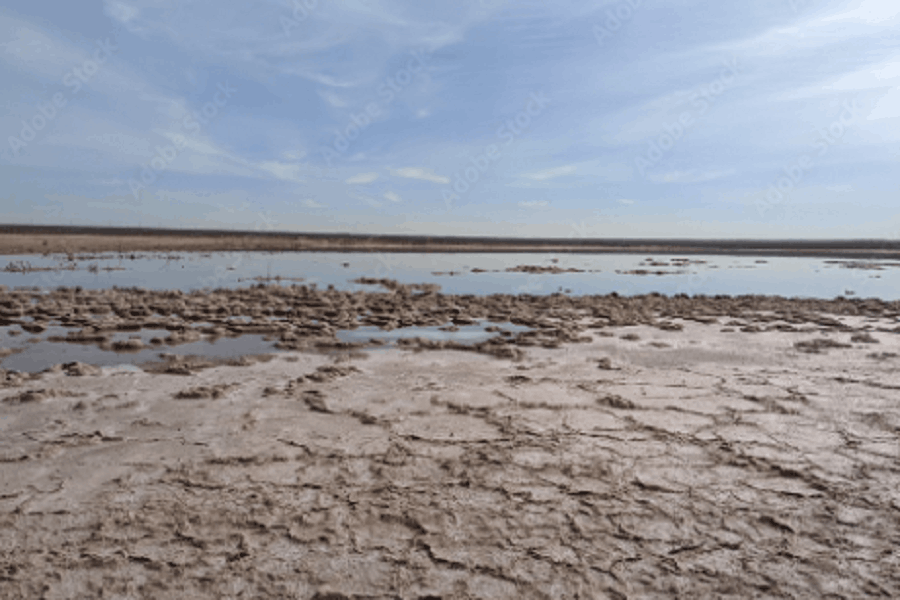 New Mexico landscape