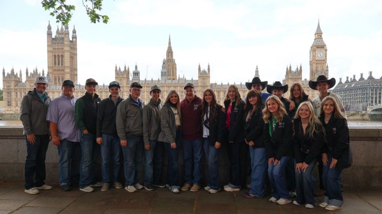 NMSU Students Gain Global Perspective on Agriculture during UK Trip