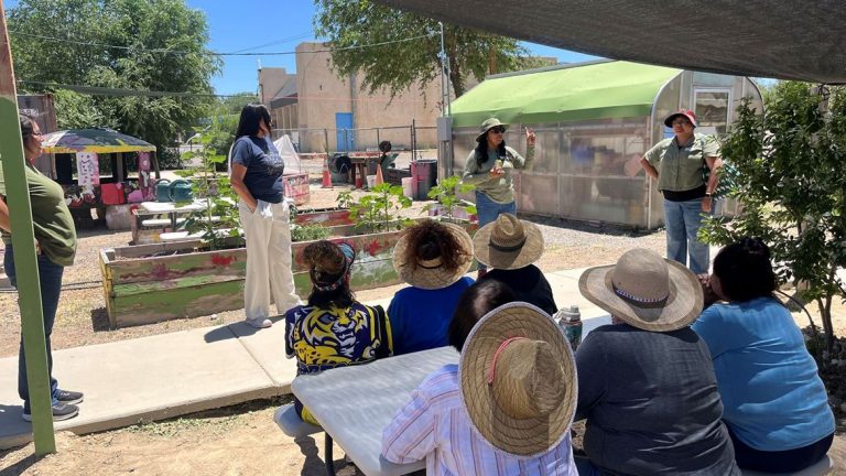 NMSU Awarded $500,000 Grant to Support Food Sovereignty and Healthy Eating Program