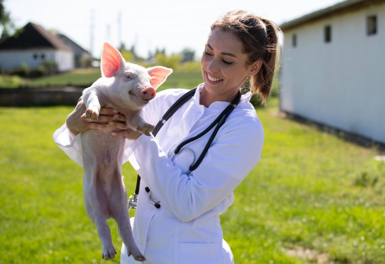 State Offers Loan Repayment Program to Veterinarians in Underserved Areas: Applications Now Open 