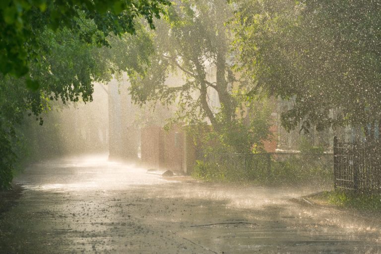 Strong Thunderstorms with High Winds, Lightning Expected Across New Mexico Thursday Night