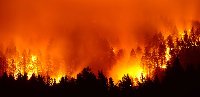 Fire In Bear Grows To Almost 7,800 Acres, Containment Still On Going