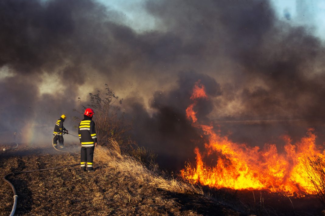 Fire crews working in the Capitan Mountain Wilderness to contain the Seven Cabins Fire, with smoke rising above forested slopes.