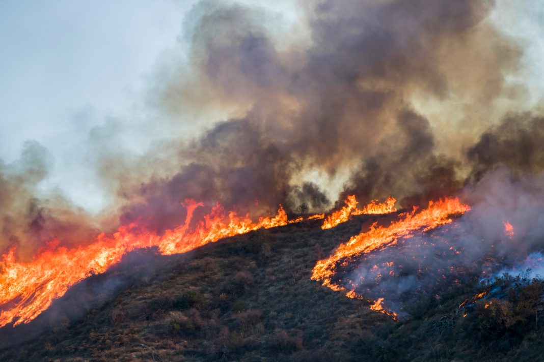 Fire crews working to contain a newly started wildfire on the Mt. Taylor Ranger District in New Mexico, with smoke rising above forested terrain.