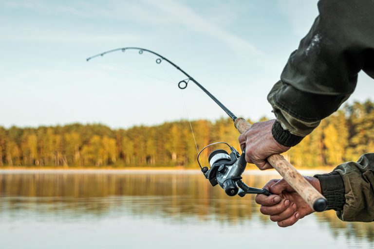 Ever Tried Fishing? – This Is The Perfect Time To Try It!