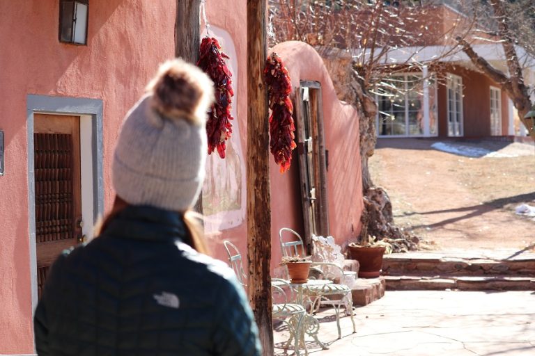 New Mexico’s Homegrown Crisis: Why Most of the State’s Surging Homelessness Never Left