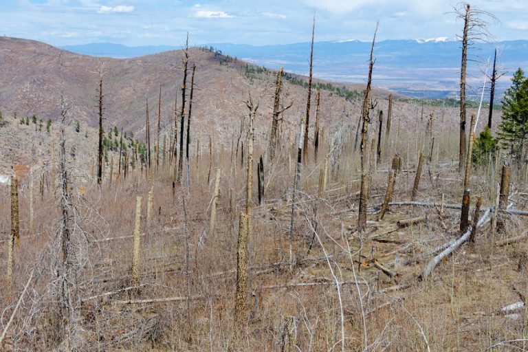Lightning‑Sparked Fires from Deer Canyon to the Gila Expose Rising Risks in Hotter, Drier Southwest