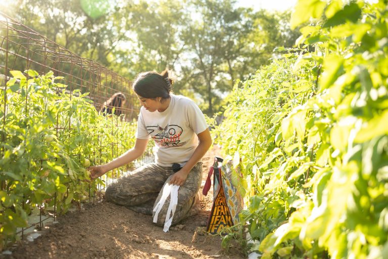 Soil Over Screens? Summer Agriculture Internship Ignites Real-World Skills for Students—and They Get Paid for It