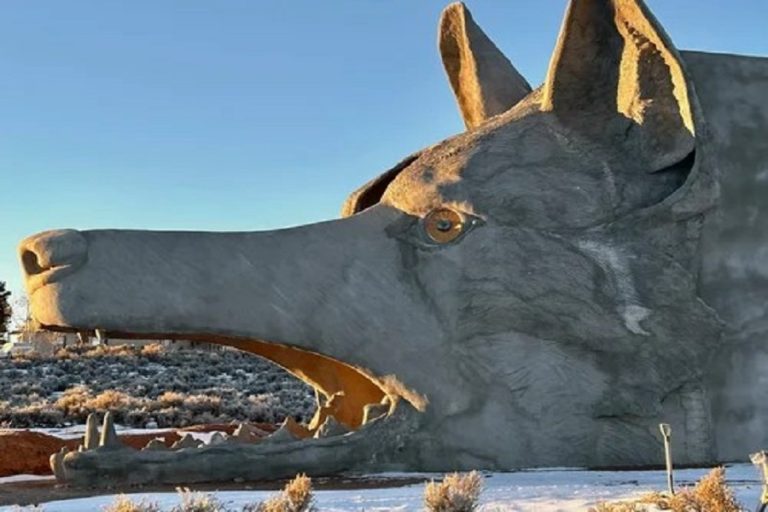 New Mexico-Based Artist Built a 30-Foot Coyote Head in the New Mexico Desert—and You Can Sleep Inside It