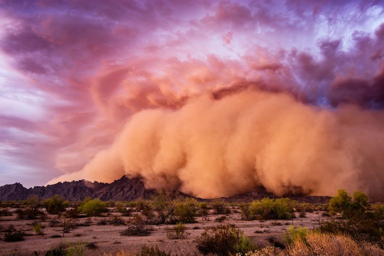 New Mexico Ranks #4 in U.S. Dust Storms as Extreme Weather Ramps Up Nationwide