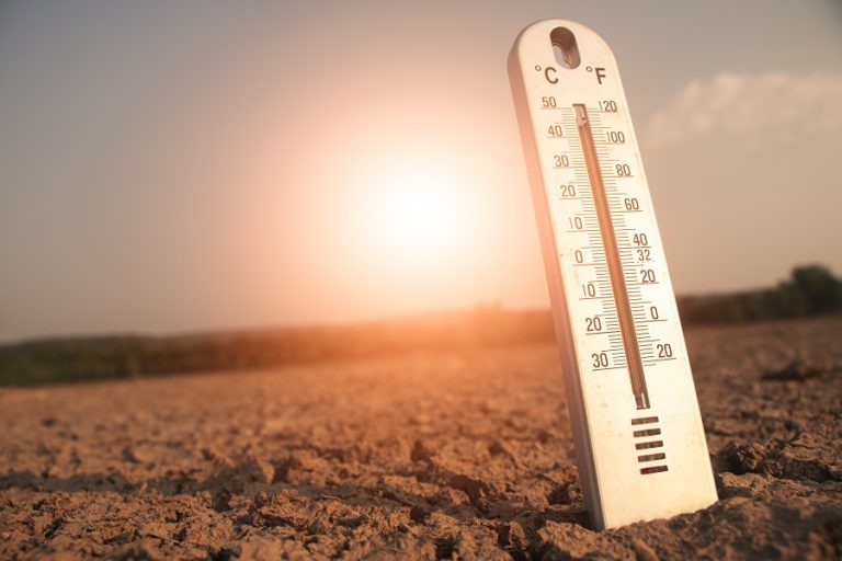Extreme Heat Kills More Than Hurricanes and Floods Combined — Here’s How to Survive New Mexico’s Scorching Summer