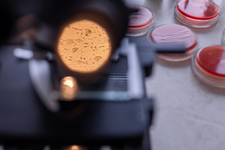 Microscopic Parasite Cyclospora Surges Online, But It’s Nothing New