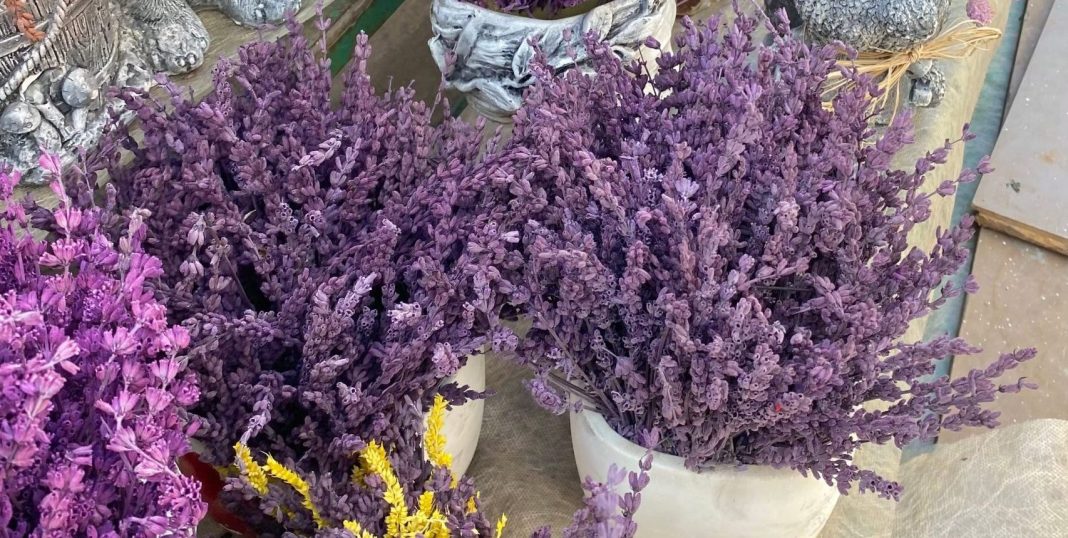 Lavender market stall, photo by Kübra Ünal