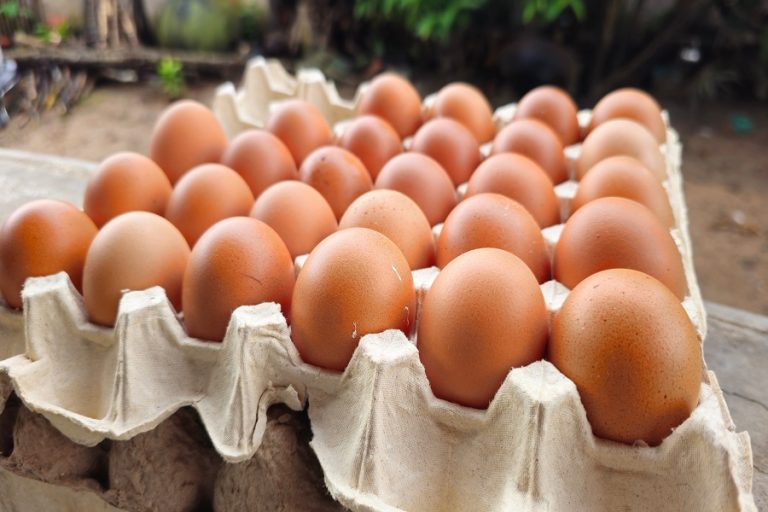 What to Know About the Midwest Poultry Egg Recall in New Mexico