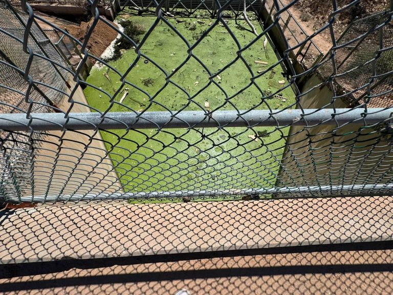 Protests Erupt as Albuquerque Wildlife Feared Buried Alive During Basin Cleanup