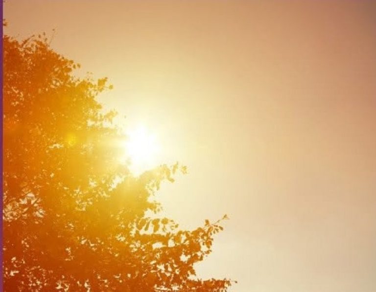 New Mexico’s Brutal Summer Heat Is Turning Deadly as Record 900 Heat-Related ER Visits Are Reported