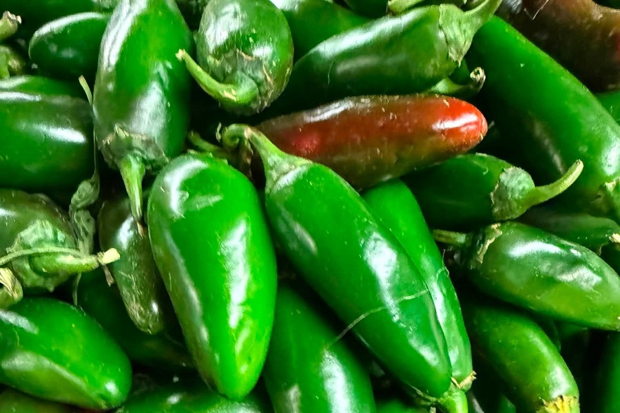 green chile