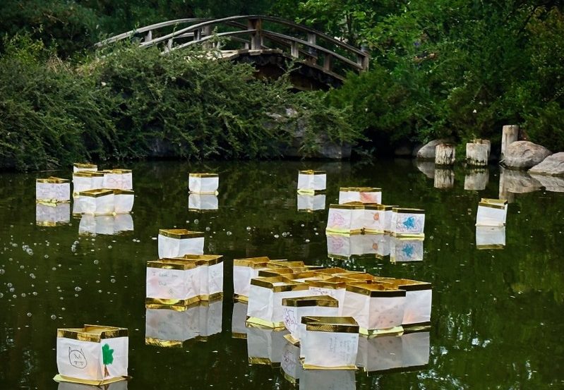 Floating lanterns on Japanese Garden Pond, photo from cabq.gov