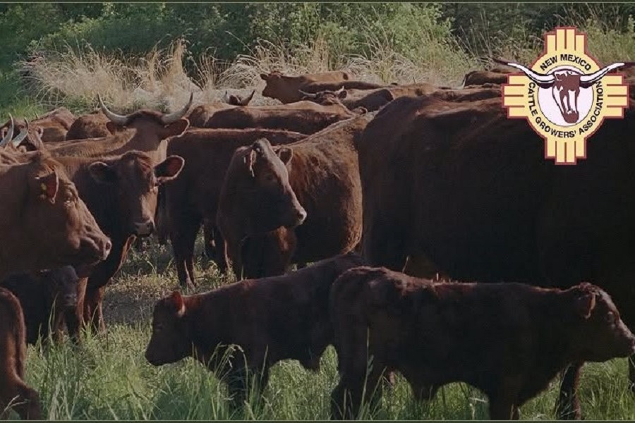 NM Cattle Growers' Association