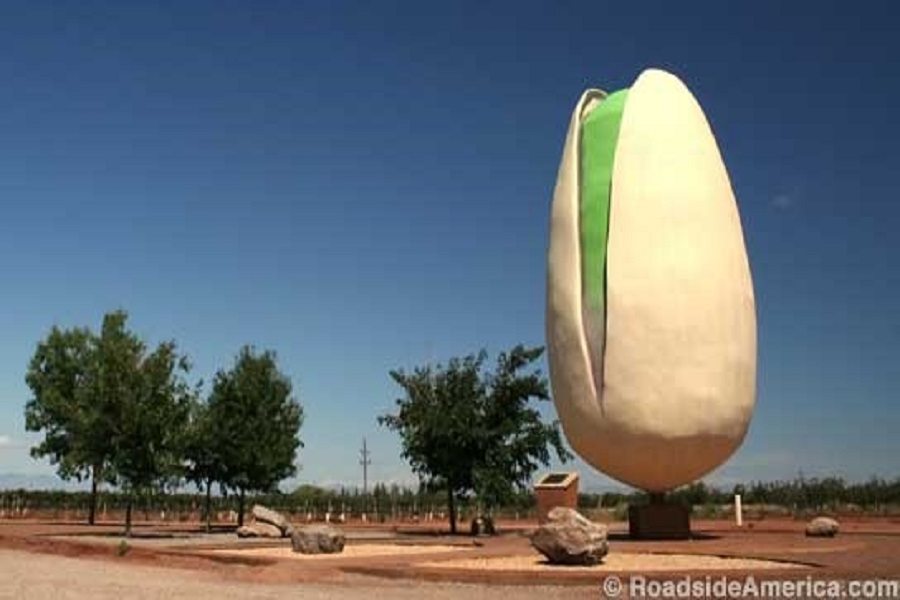 Unobstructed view of Giant Pistachio