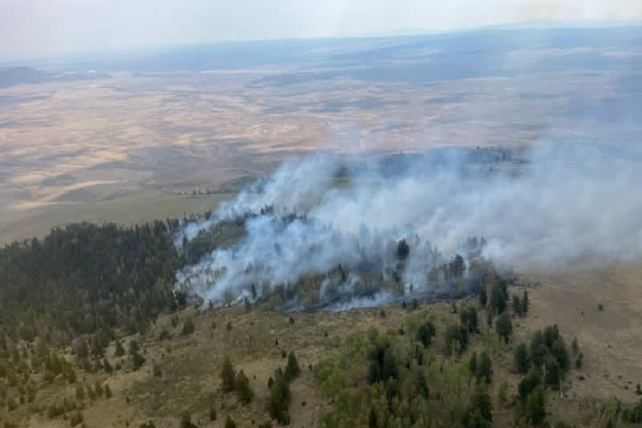 Firefighters are on scene of a 24-acre fire north of Tres Piedras on San Antonio Mountain.
