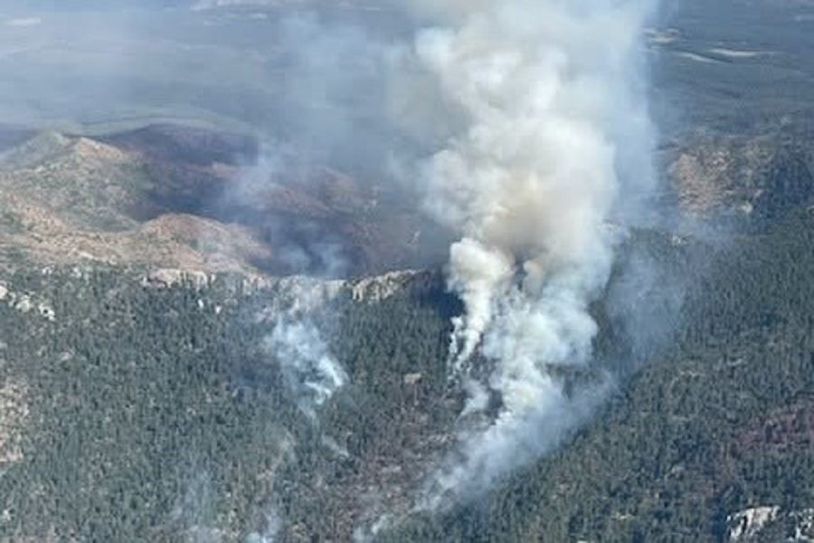 Wildfire in Manzano Mountain