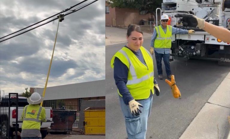Bizarre Urban Blight Sees Shoes, Teddy Bears and More Dangling from Power Lines Across Albuquerque, Officials Warn Stuffed Animals Could be a Sinister Sign of Human Trafficking
