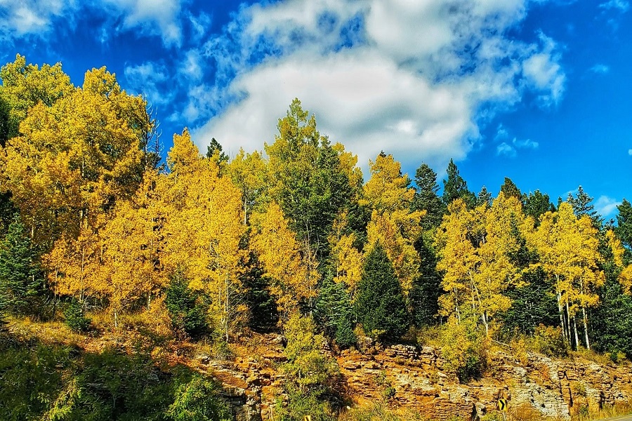 Sandia Crest House photo of early fall