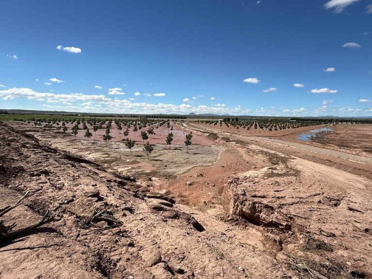 Aging Hatch Farmers Fear They May Be the Last to Work Century-Old Family Lands After Flood, Drought