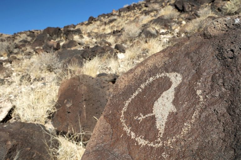 Department of Interior Cancels National Park Contracts, Claims Conflict With Administration Priorities
