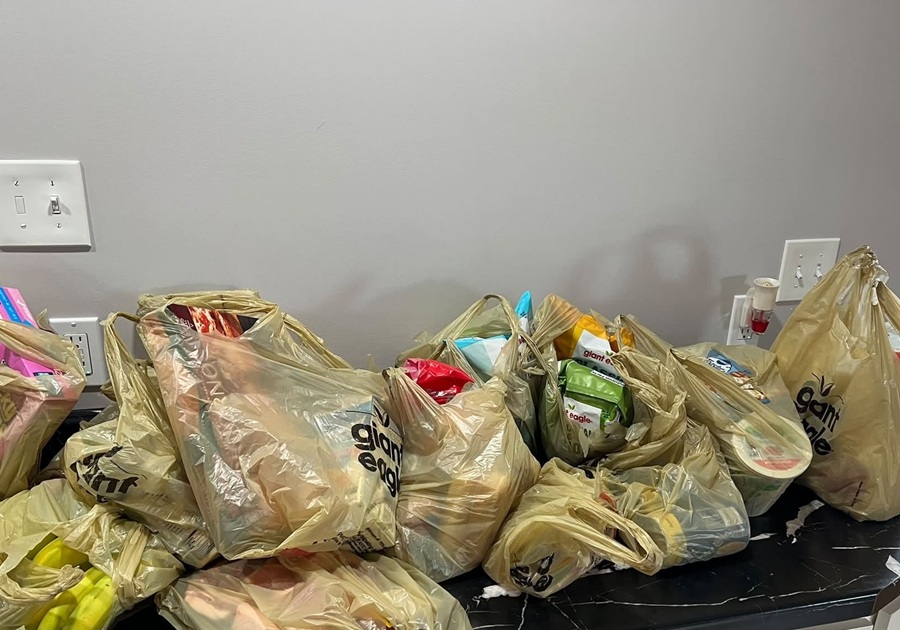 bags of groceries